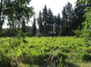 Achat vente terrain Cheval Blanc