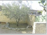 Immobilier Cavaillon