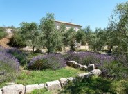 Location mas, bastide Maussane Les Alpilles