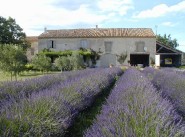 Maison Lamotte Du Rhone