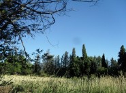 Terrain Maussane Les Alpilles