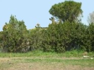 Terrain Morieres Les Avignon